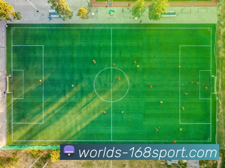 168体育官网APP 高清赛事图